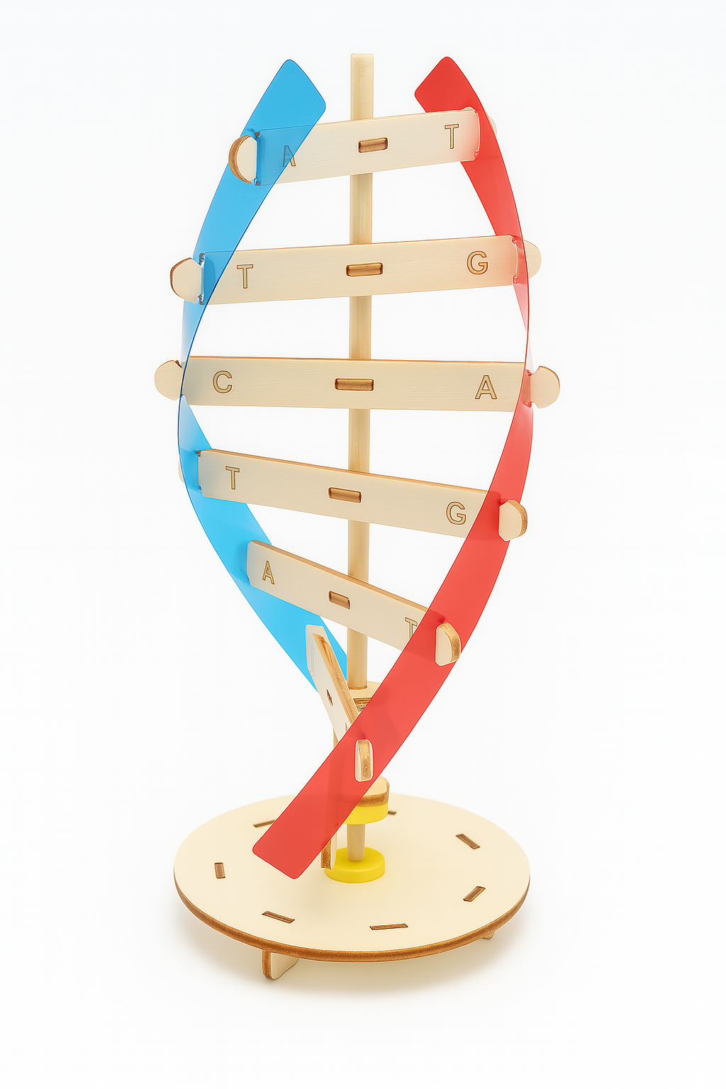 Jouet Créatif Nolyto